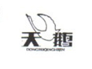 东轻
